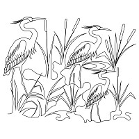 great blue heron pano 001